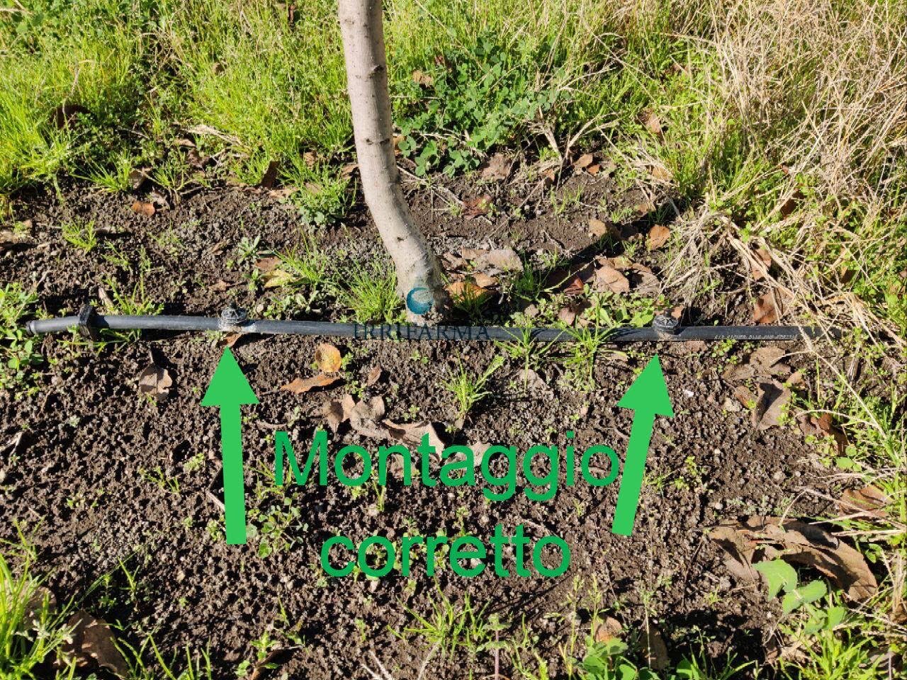 Irrigazione a goccia con gocciolatori irrifarma.it